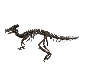 Dinossauros - Uma propósta Criacionista Dracorexdragon1